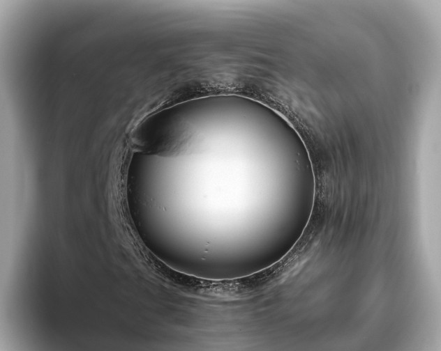 X0000094081201200710261300