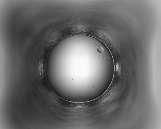 X0000094081203200710261300