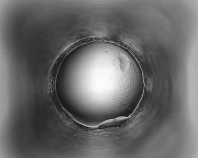 X0000094081208200710261300