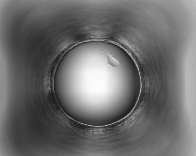 X0000094081211200710261300