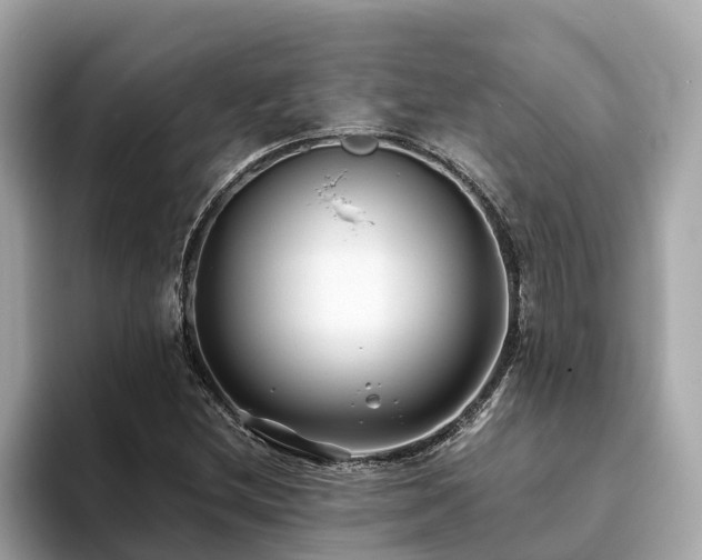 X0000094081212200710261300