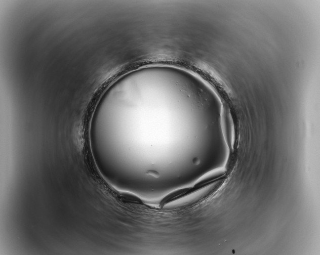 X0000094081213200710261300