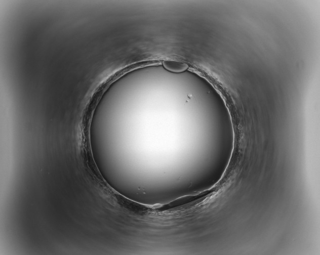 X0000094081215200710261300