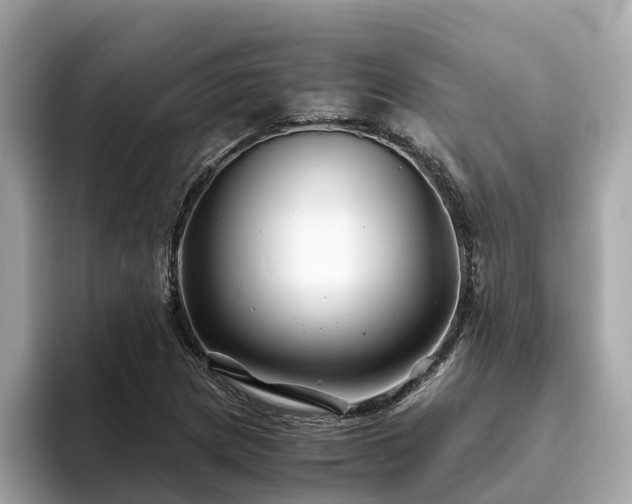 X0000094081217200710261300