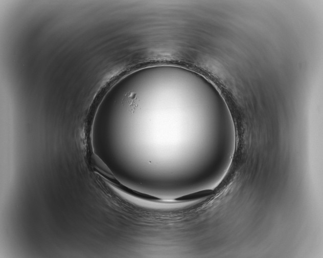 X0000094081218200710261300