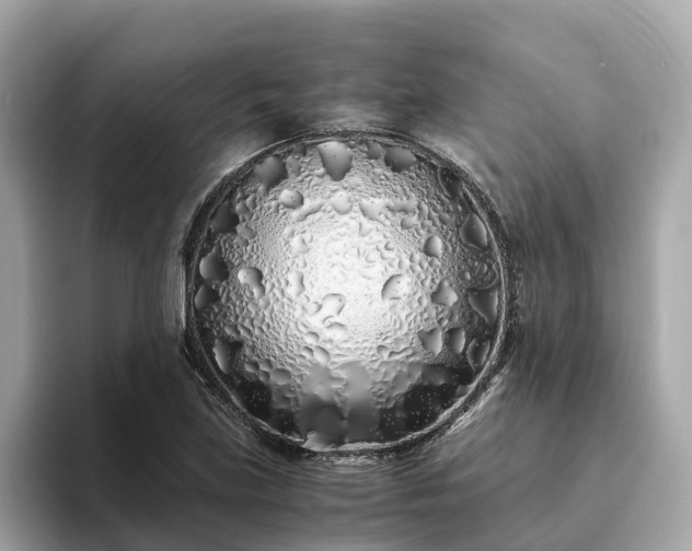 X0000094081219200710261300