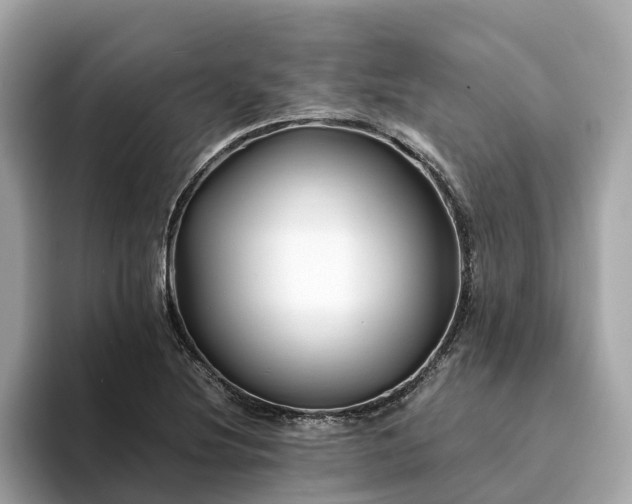 X0000094081220200710261300