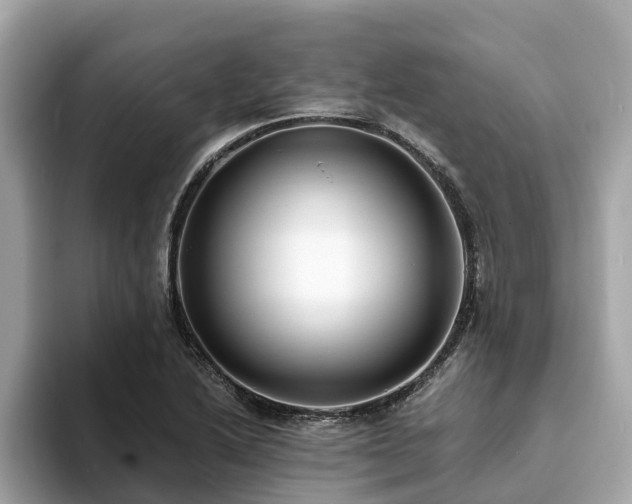 X0000094081222200710261300