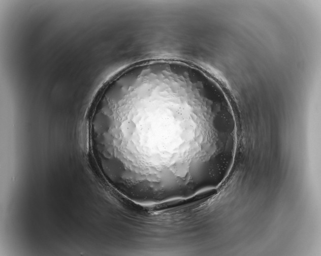 X0000094081223200710261300