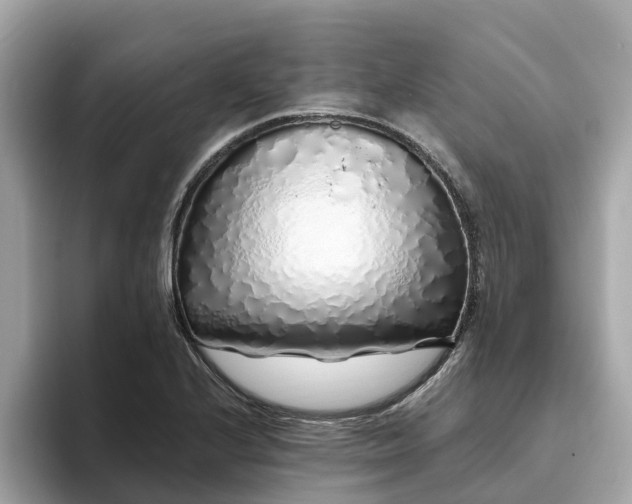 X0000094081224200710261300