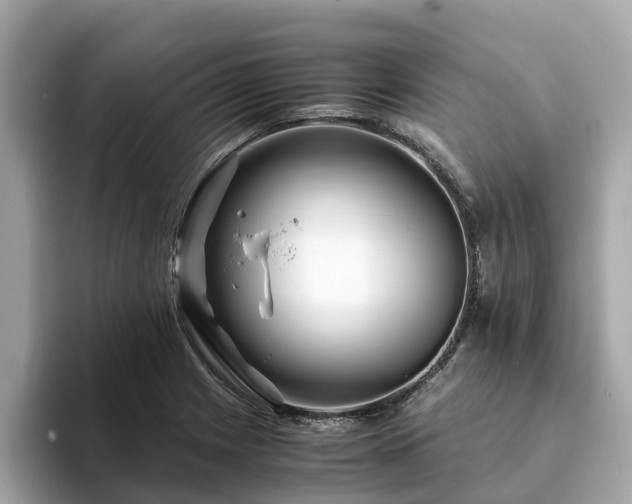 X0000094081225200710261300