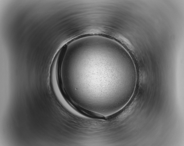 X0000094081226200710261300