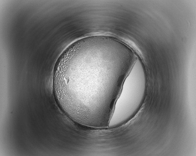 X0000094081228200710261300