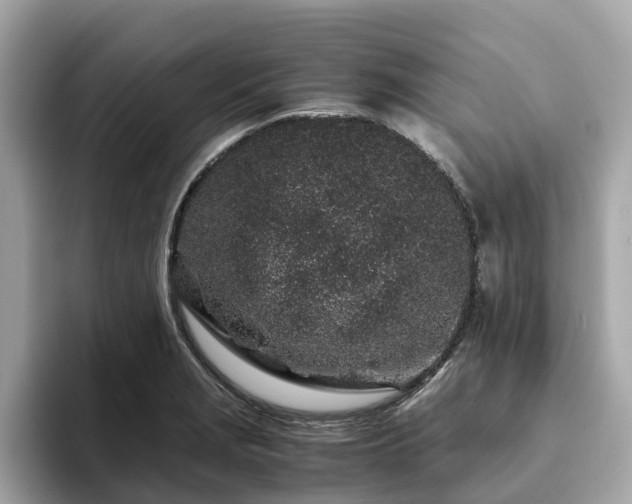 X0000094081229200710261300