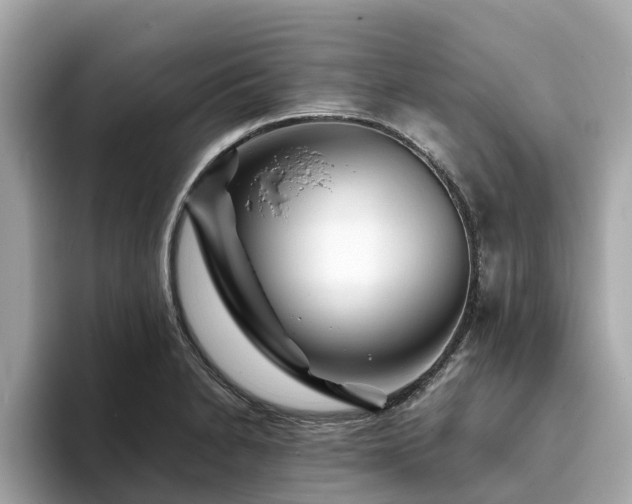 X0000094081230200710261300