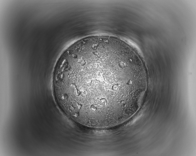 X0000094081231200710261300