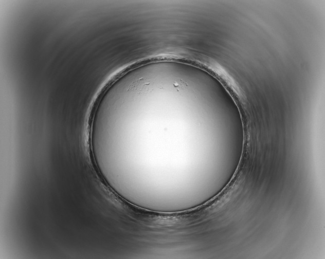 X0000094081232200710261300