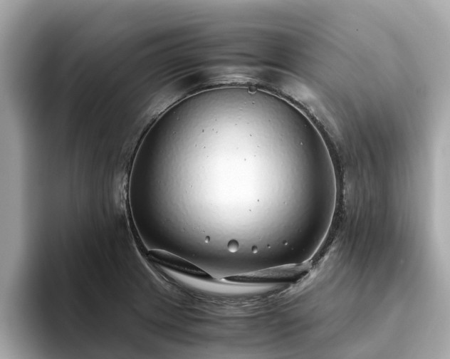 X0000094081233200710261300