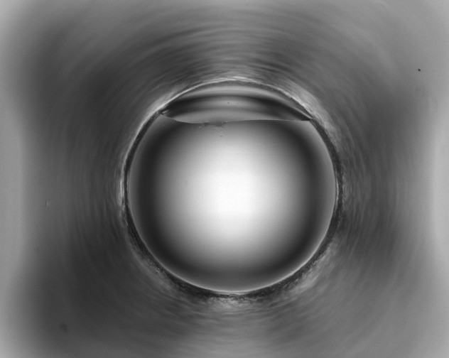 X0000094081234200710261300