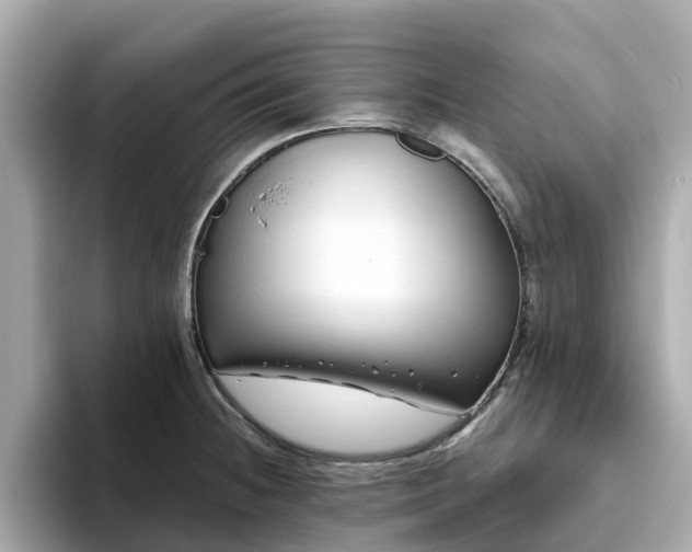 X0000094081236200710261300