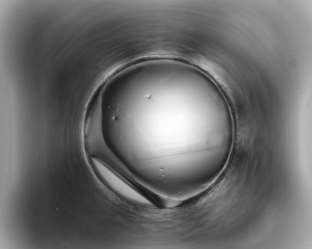 X0000094081237200710261300