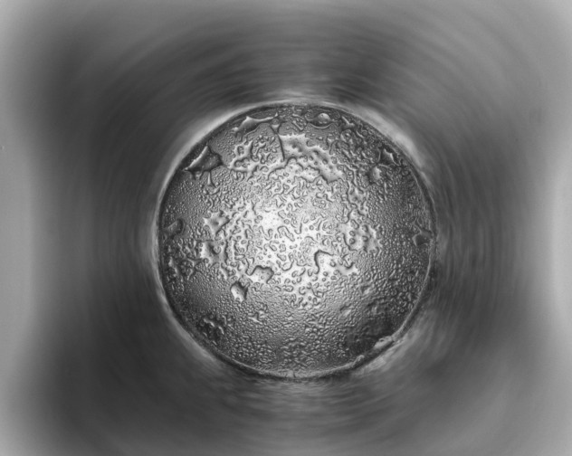 X0000094081239200710261300