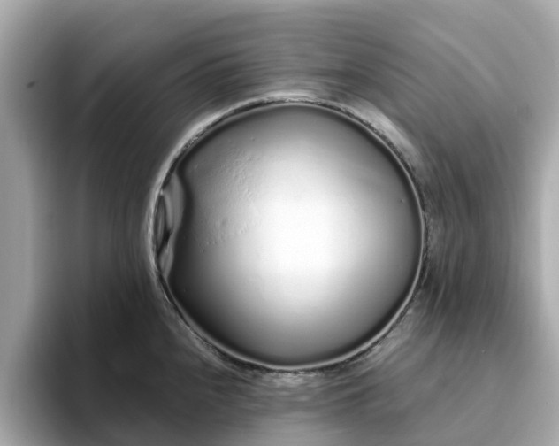 X0000094081240200710261300