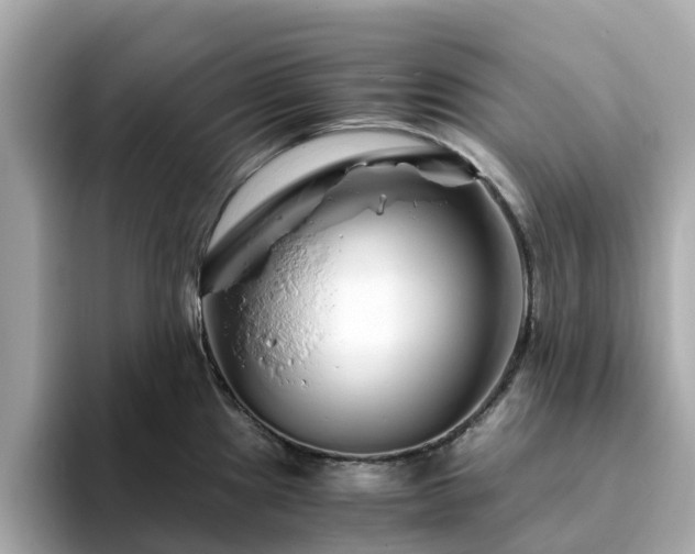 X0000094081241200710261301