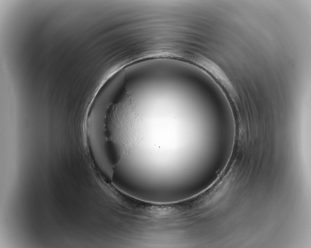 X0000094081242200710261301