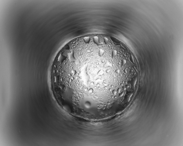 X0000094081243200710261301