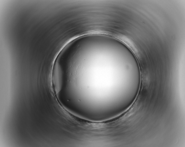 X0000094081244200710261301