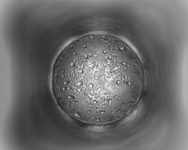 X0000094081245200710261301