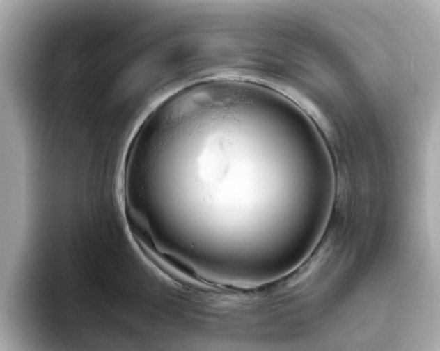 X0000094081247200710261301