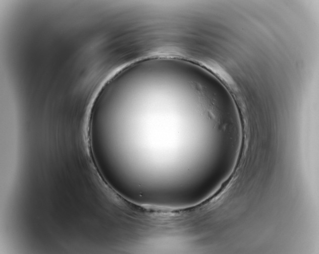 X0000094081248200710261301