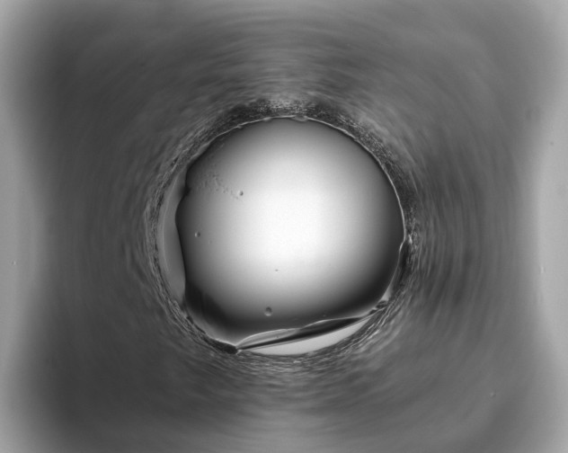 X0000094081249200710261300