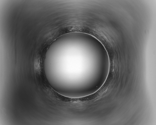 X0000094081250200710261300