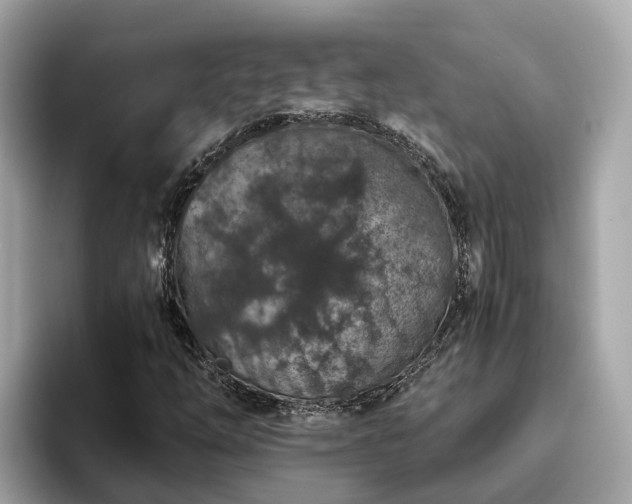 X0000094081254200710261300