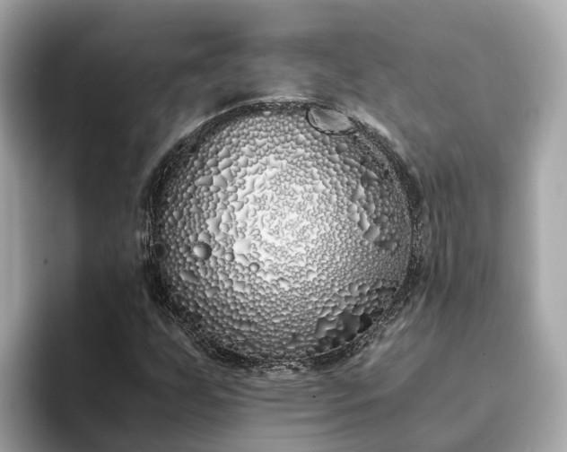 X0000094081255200710261300