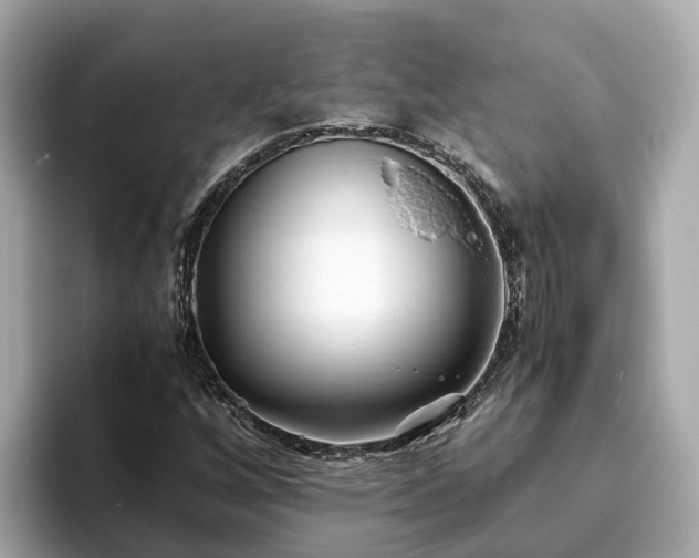 X0000094081256200710261300