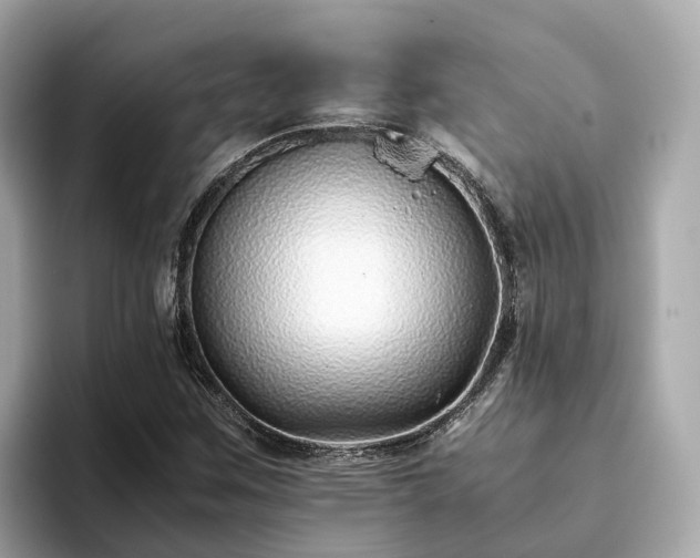 X0000094081259200710261300