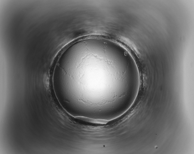 X0000094081260200710261300