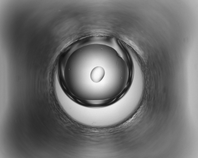 X0000094081261200710261300