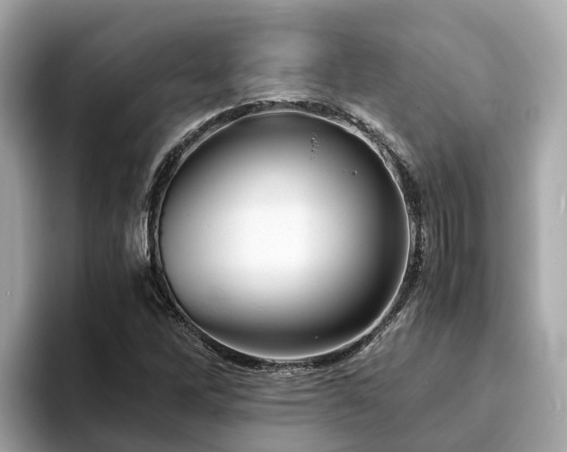 X0000094081262200710261300