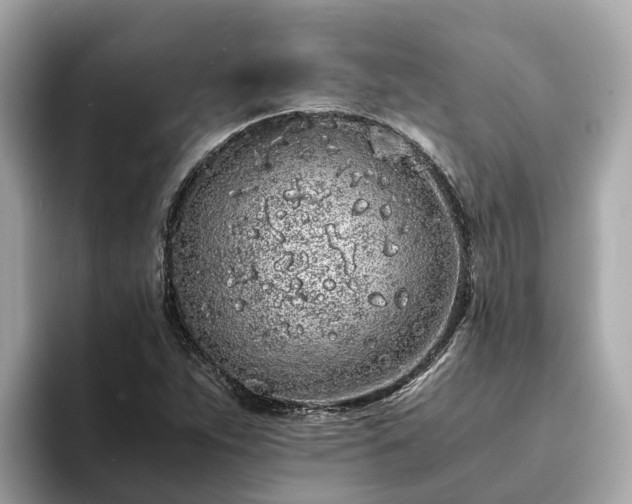 X0000094081263200710261300