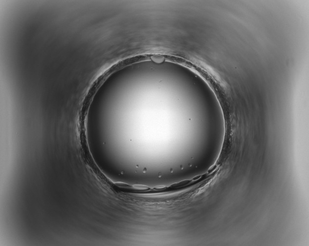 X0000094081264200710261300