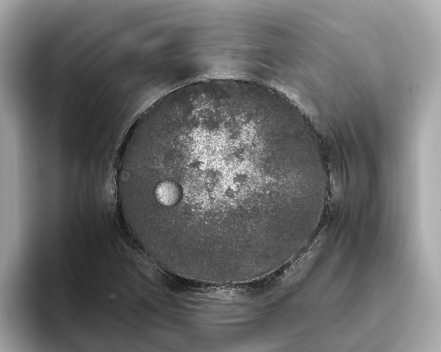 X0000094081266200710261300