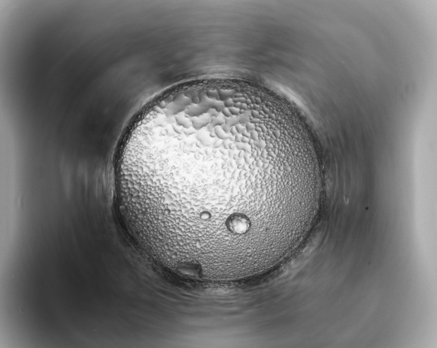 X0000094081267200710261300