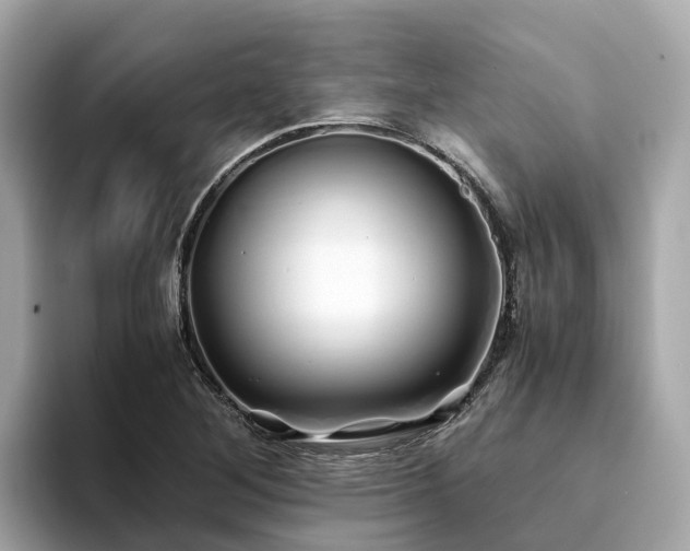 X0000094081268200710261300