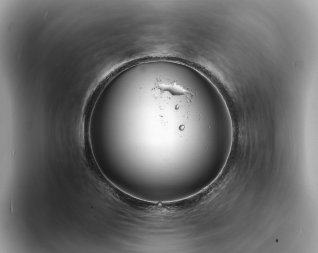 X0000094081270200710261300