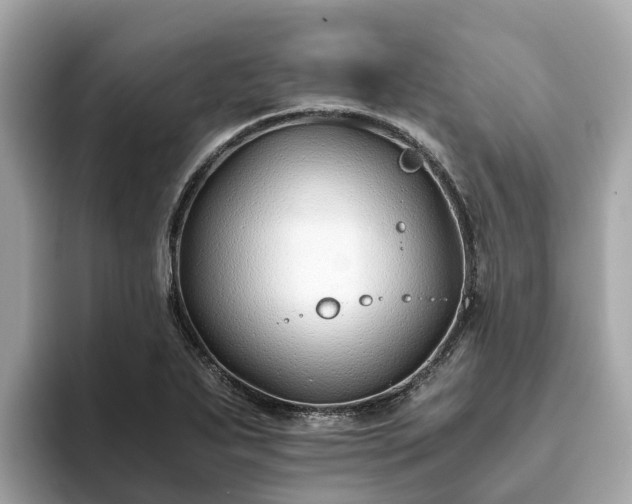 X0000094081271200710261300